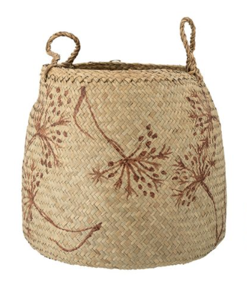 Molli Kurv, Natur, Søgræs